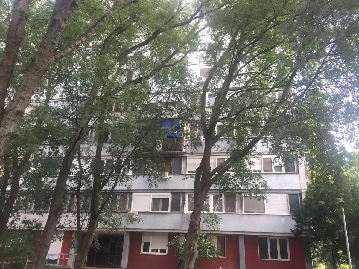 Apartment Ljiljana Belgrado Exterior foto